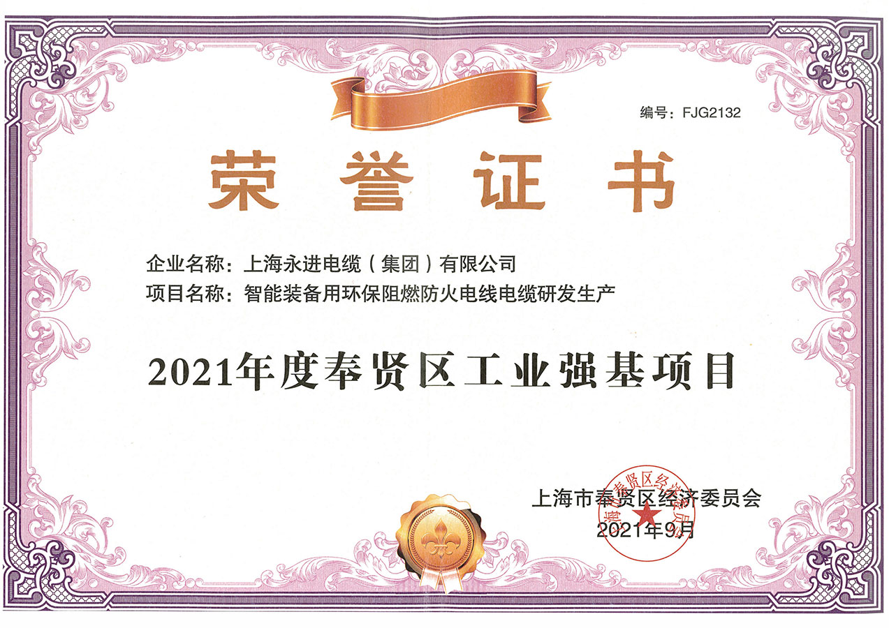 奉賢區(qū)工業(yè)強(qiáng)基項目證書