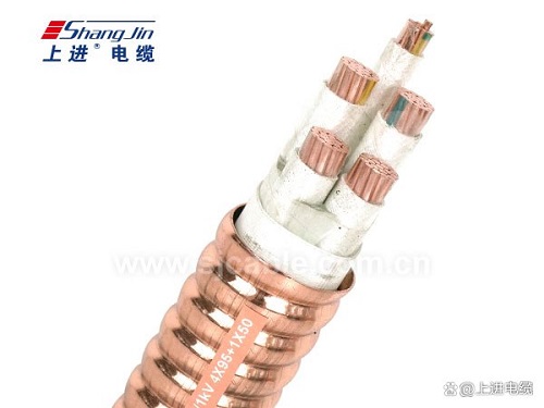 RTTZ電纜用什么材料結構？(圖1)