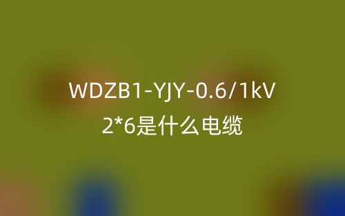 WDZB1-YJY-0.6/1kV 2*6是什么電纜？(圖1)