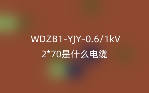 WDZB1-YJY-0.6/1kV 2*70是什么電纜？(圖1)