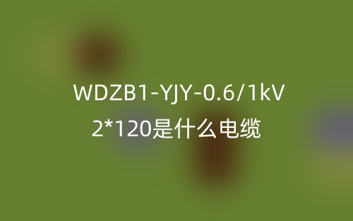 WDZB1-YJY-0.6/1kV 2*120是什么電纜？(圖1)