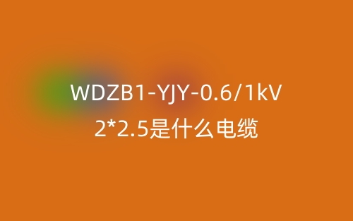 WDZB1-YJY-0.6/1kV 2*2.5是什么電纜？(圖1)