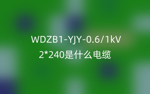 WDZB1-YJY-0.6/1kV 2*240是什么電纜？(圖1)