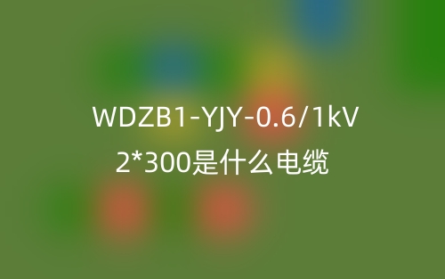 WDZB1-YJY-0.6/1kV 2*300是什么電纜？(圖1)