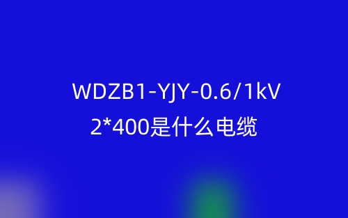WDZB1-YJY-0.6/1kV 2*400是什么電纜？(圖1)