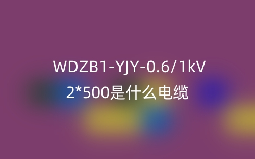 WDZB1-YJY-0.6/1kV 2*500是什么電纜？(圖1)