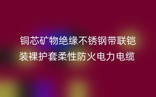 銅芯礦物絕緣不銹鋼帶聯(lián)鎧裝裸護(hù)套柔性防火電力電纜 (圖1)