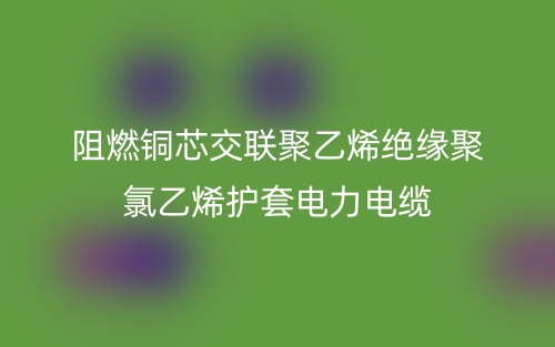 阻燃銅芯交聯(lián)聚乙烯絕緣聚氯乙烯護(hù)套電力電纜(圖1)