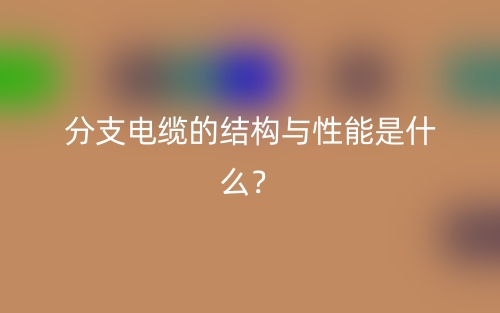 分支電纜的結(jié)構(gòu)與性能是什么？(圖1)