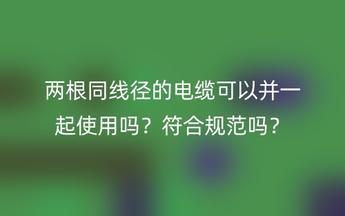 兩根同線徑的電纜可以并一起使用嗎？符合規(guī)范嗎？(圖1)